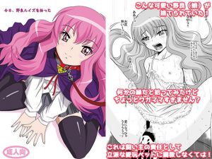 今日、野良ルイズを拾った [作品ID:d_127612]