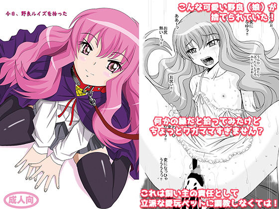 今日、野良ルイズを拾った [作品ID:d_127612]