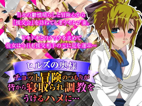 ヒルズの奥様 ちょっと冒険のつもりがみんなから寝取られ調教をうけるハメに… [作品ID:d_129884]