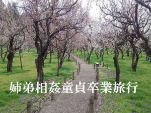 姉弟相姦童貞卒業旅行 [作品ID:d_129942]