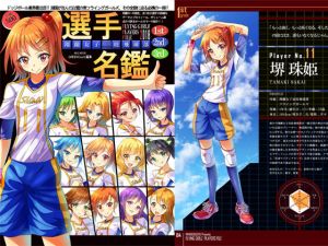 フライングガールズ プレイヤーズファイル 2018 [作品ID:d_131457]