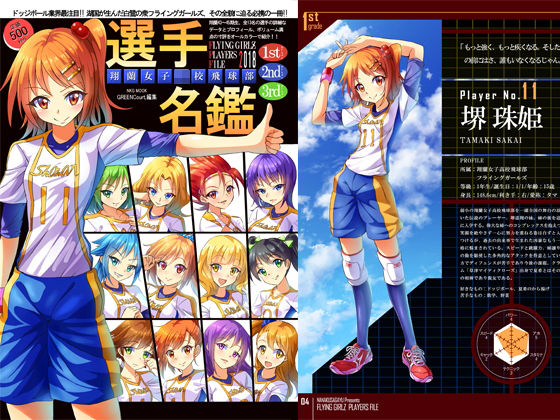 フライングガールズ プレイヤーズファイル 2018 [作品ID:d_131457]