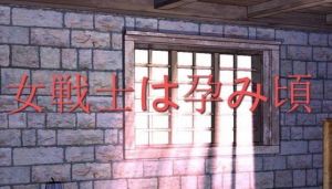 女戦士は孕み頃 [作品ID:d_131942]