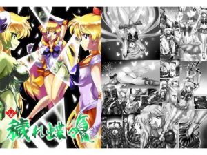 穢れ蝶々 [作品ID:d_133252]