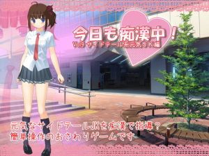 今日も痴漢中！ Vol9 サイドテール系元気JK編 [作品ID:d_133515]