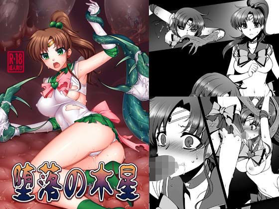 堕落の木星 (堕落事故調査委員会)