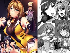 超昴堕落 (堕落事故調査委員会)