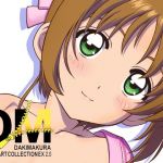 DM Dakimakura Art Collection EX2.0 (A.OIMO)
