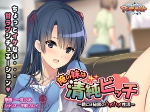 俺の妹は清純ビッチ～親には秘密のハメハメ性活～ (アンモライト) [d_133698]