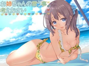 お姉ちゃんの言う事、考えなさい？ (Aボイス) [d_133934]