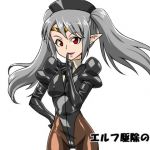 エルフ駆除のお話 (TMZFのサークル) [d_135972]