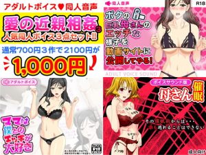 愛の近親相姦3！同人音声アダルトボイス人気作豪華3点セット！(武華家) [d_138143]