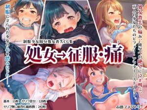 処女→征服・痛(山田ファクトリー) [d_139324]