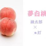 夢白桃(千切り野菜) [d_139412]