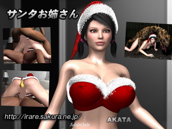 サンタお姉さん(AKATA) [d_140555]