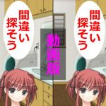 間違い探そう動画版(アヘリオ) [d_139073]