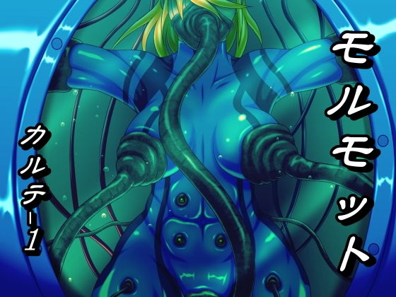 モルモット カルテ1(べるがもっと) [d_141303]