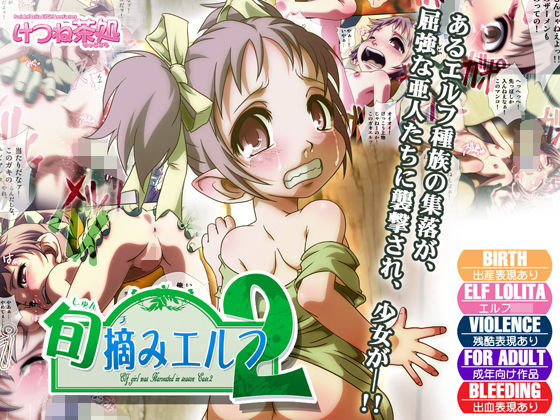 旬摘みエルフ 第2章(けつね茶処) [d_146053]