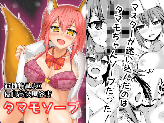 亜種特異点X優良高級風俗店タマモソープ(山後ハウス) [d_146442]