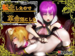 転生したので革命起こした(ニッペルフ) [d_146104]