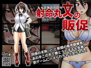 射命丸文の販促(和がらし屋) [d_147258]