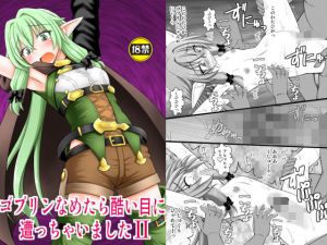 ゴブリンなめたら酷い目に遭っちゃいました2(浅野屋) [d_147391]