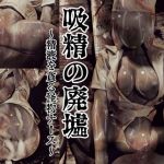 吸精の廃墟(バルサン) [d_148249]