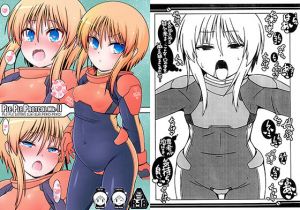 PLE-PLE PROTOCOL MK-II(Falcon’s Nest) [d_148017]