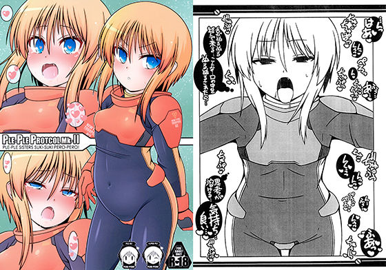 PLE-PLE PROTOCOL MK-II(Falcon’s Nest) [d_148017]