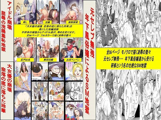 元セレブ無残、大女優の崩壊 、アイドル崩壊3作品セット全96P(ABC) [d_148813]