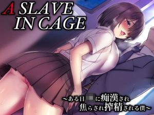 A SLAVE IN CAGE ～ある日JKに痴漢され焦らされ搾精される僕～(ぶたぶたべたべ) [d_149107]