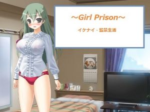 ～Girl Prison～(little ambition) [d_150236]