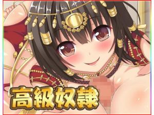 高級奴隷(ネロンソフト) [d_150707]