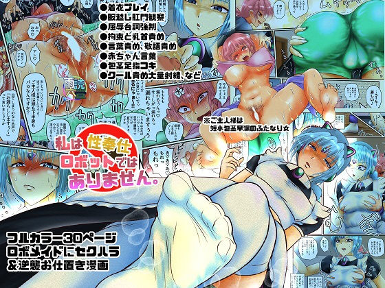 私は性奉仕ロボットではありません。(雨読六畳) [d_151666]