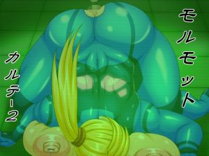 モルモット カルテ2(べるがもっと) [d_152584]