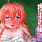 夜半の嵐(にゅうたいぷ研究所) [d_153664]