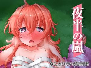 夜半の嵐(にゅうたいぷ研究所) [d_153664]