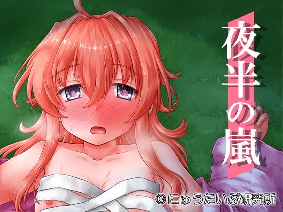 夜半の嵐(にゅうたいぷ研究所) [d_153664]