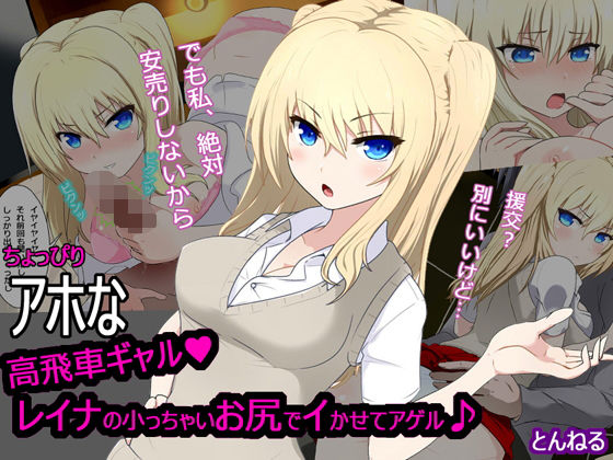 ちょっぴりアホな高飛車ギャル(とんねる) [d_153428]