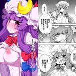 東方迷込～パチュリー編～(はにゃ屋敷) [d_154036]