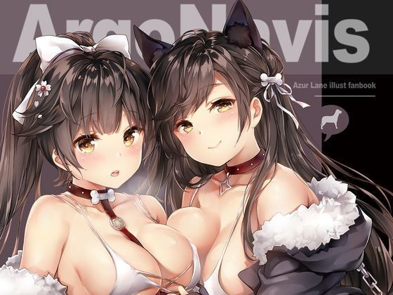 Argo Navis(誘拐禁止) [d_154151]