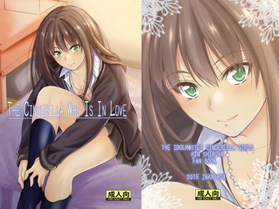 THE CINDERELLA WHO IS IN LOVE(Junk box) [d_154841]