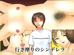 行き摩りのシンデレラ(ぼーぼーず) [d_155076]