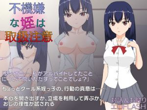 不機嫌な姪は取扱注意(JSK工房) [d_155532]