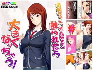 お姉ちゃん、そんなとこ触られたら大きくなっちゃう！(悶々堂) [d_155877]