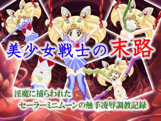 美少女戦士の末路(マニア～ジュ) [d_156277]