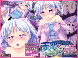 天空のアメモラシ姫(セイギノヤカタ) [d_157025]