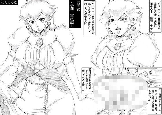 N図鑑～事前・事後編～(にんにん堂) [d_157383]