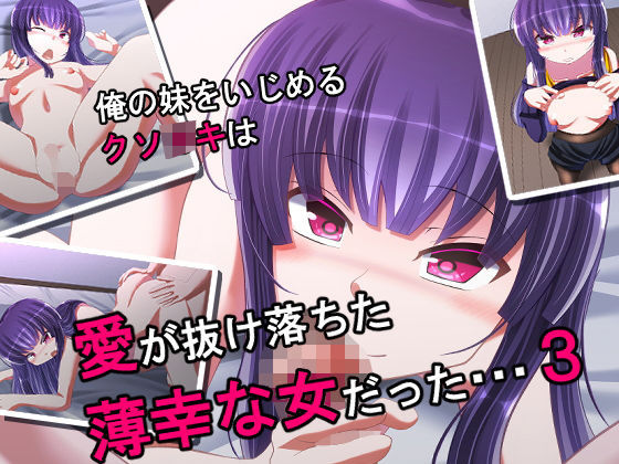 俺の妹をいじめるクソ○○は愛が抜け落ちた薄幸な女だった・・・3(SometimesBadTool) [d_157805]