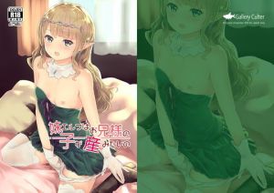 妹エルフはお兄様の子が産みたいの(Gallery Culter) [d_159264]